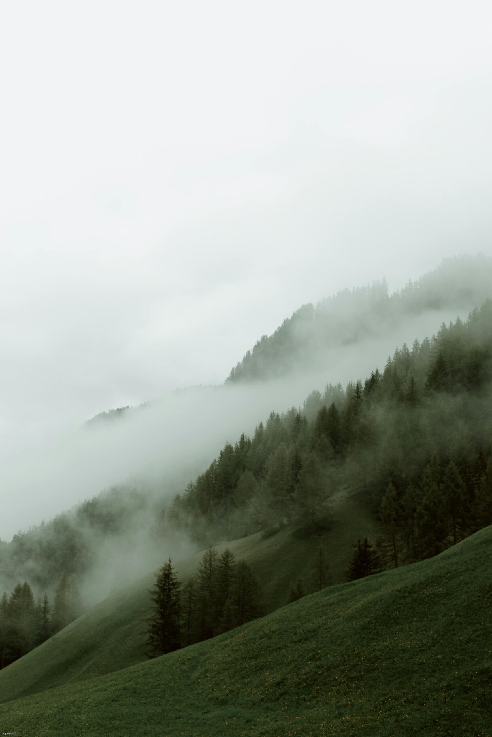 Nature background