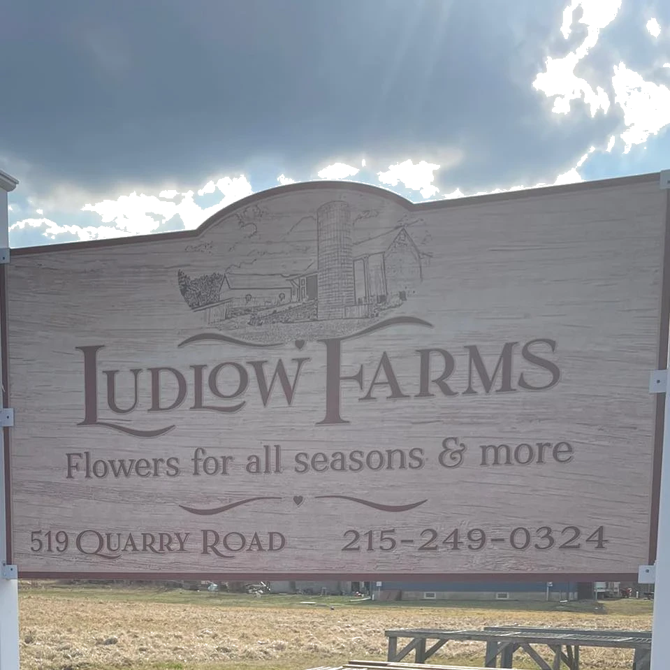 Ludlow Farms