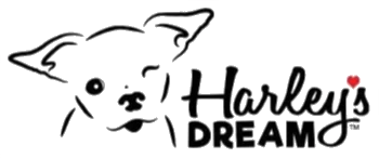 Harley's Dream