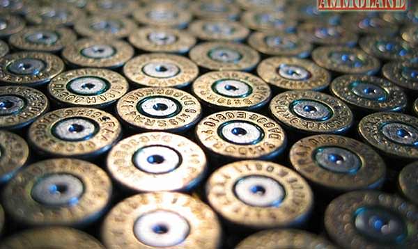 Shotgun shells