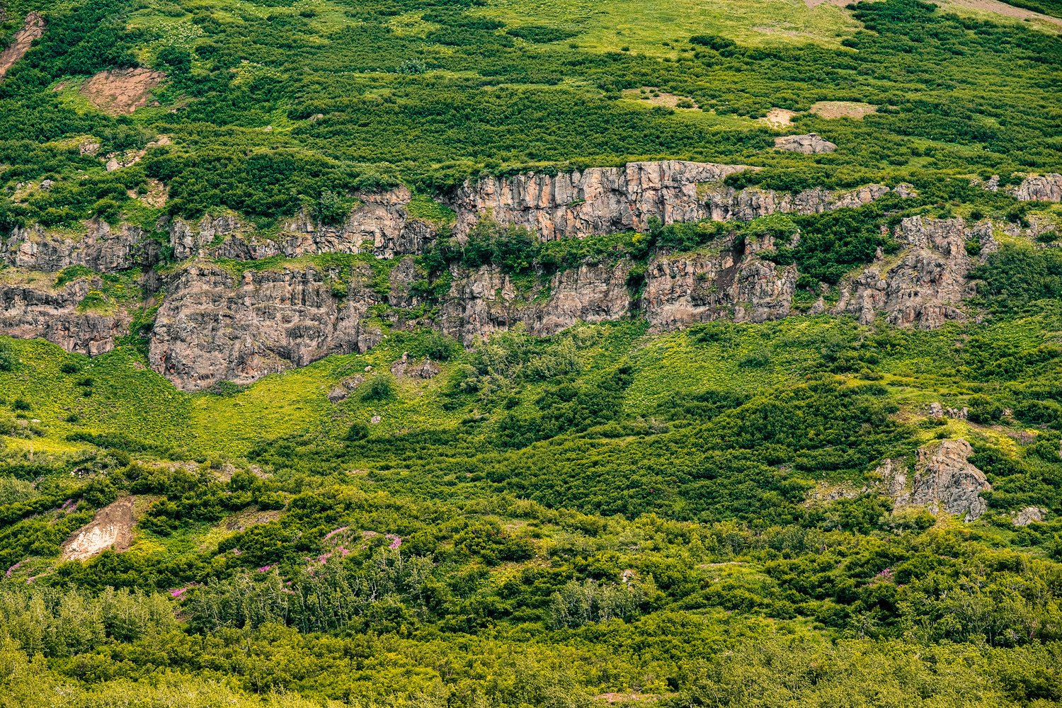 Alaska Rainbow Lodge — photo 11