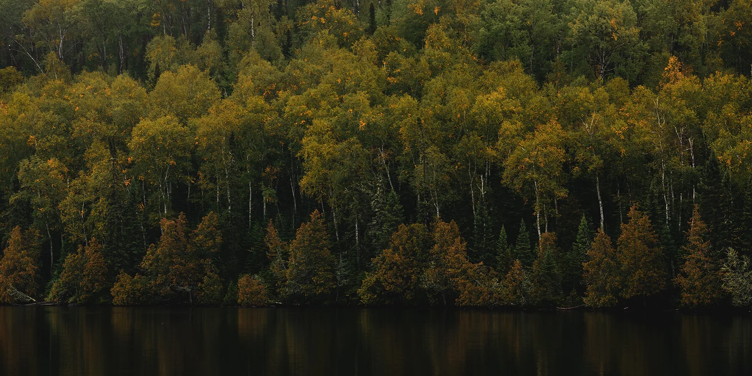 Bearskin Lodge — photo 9