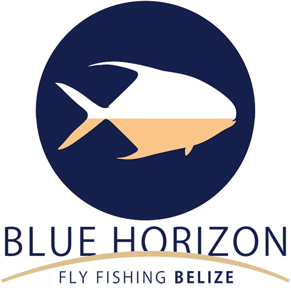 Blue Horizon Lodge Belize — photo 10