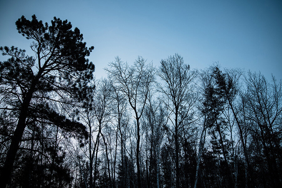 Boyd Lodge — photo 11