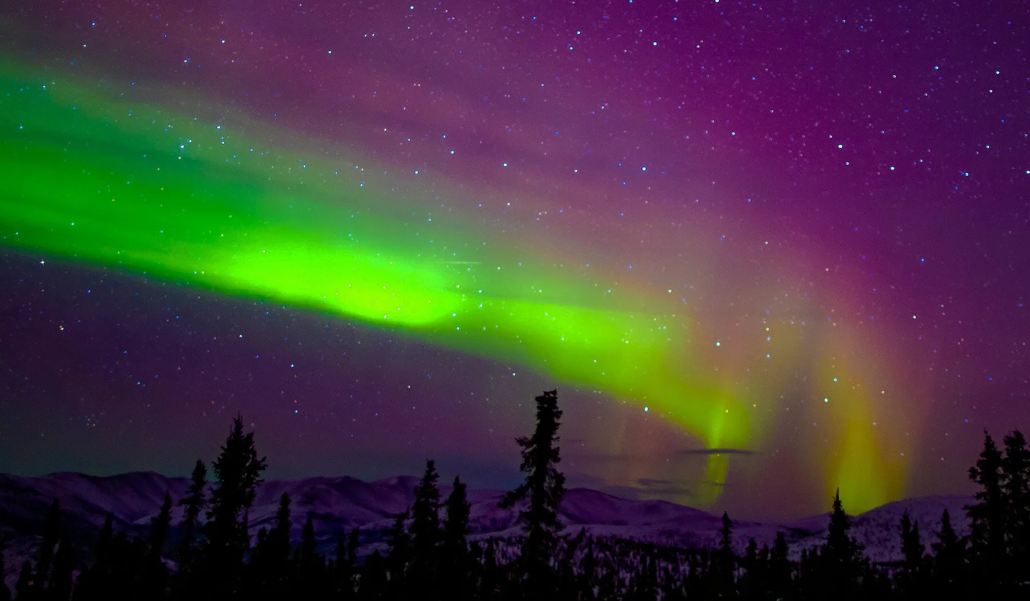 Chena Hot Springs Resort — photo 9