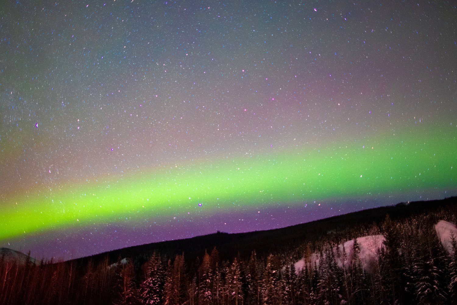 Chena Hot Springs Resort — photo 11