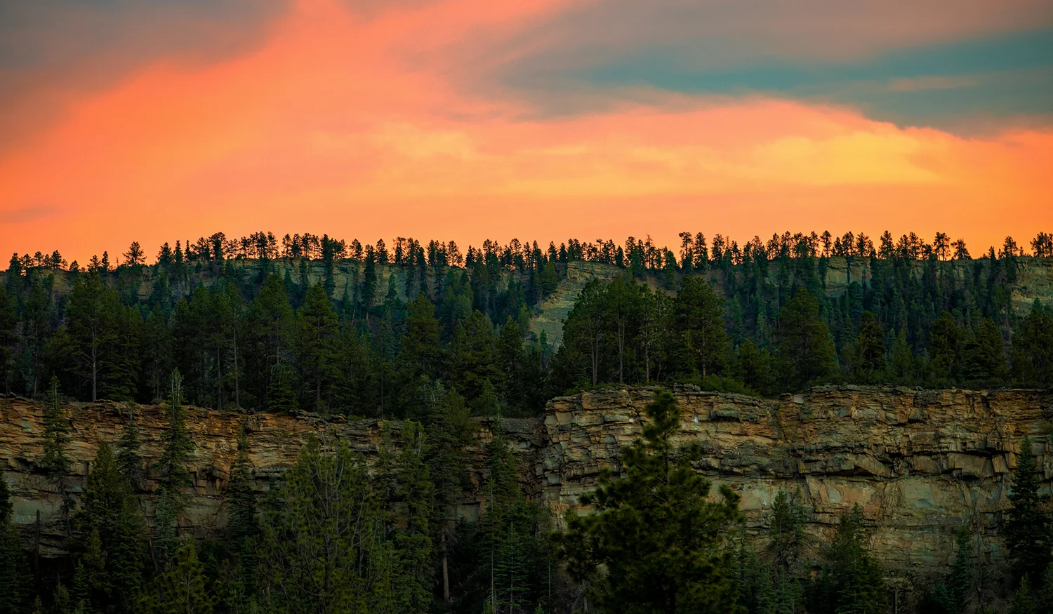 Colorado Trails Ranch — photo 9