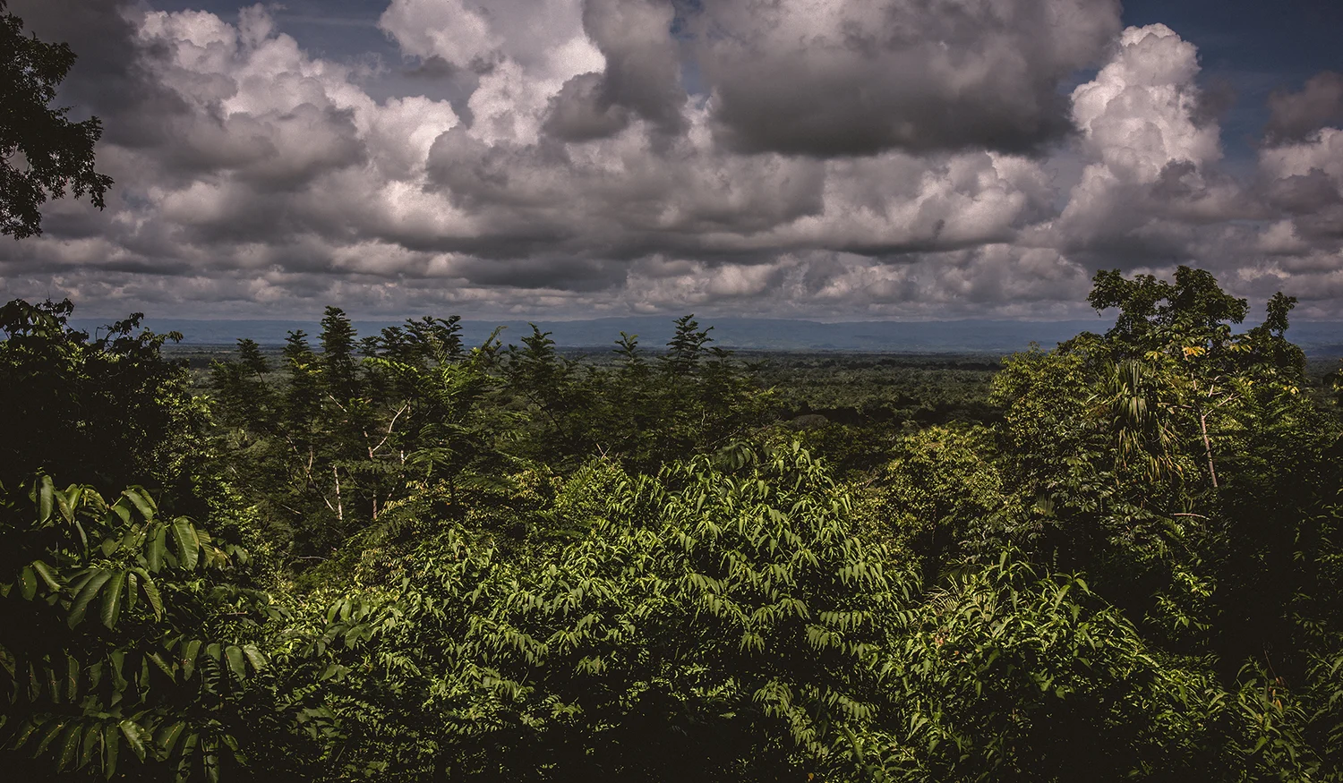 Copal Tree Lodge Belize — photo 9