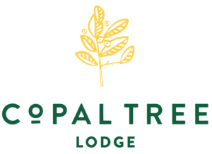 Copal Tree Lodge Belize — photo 11