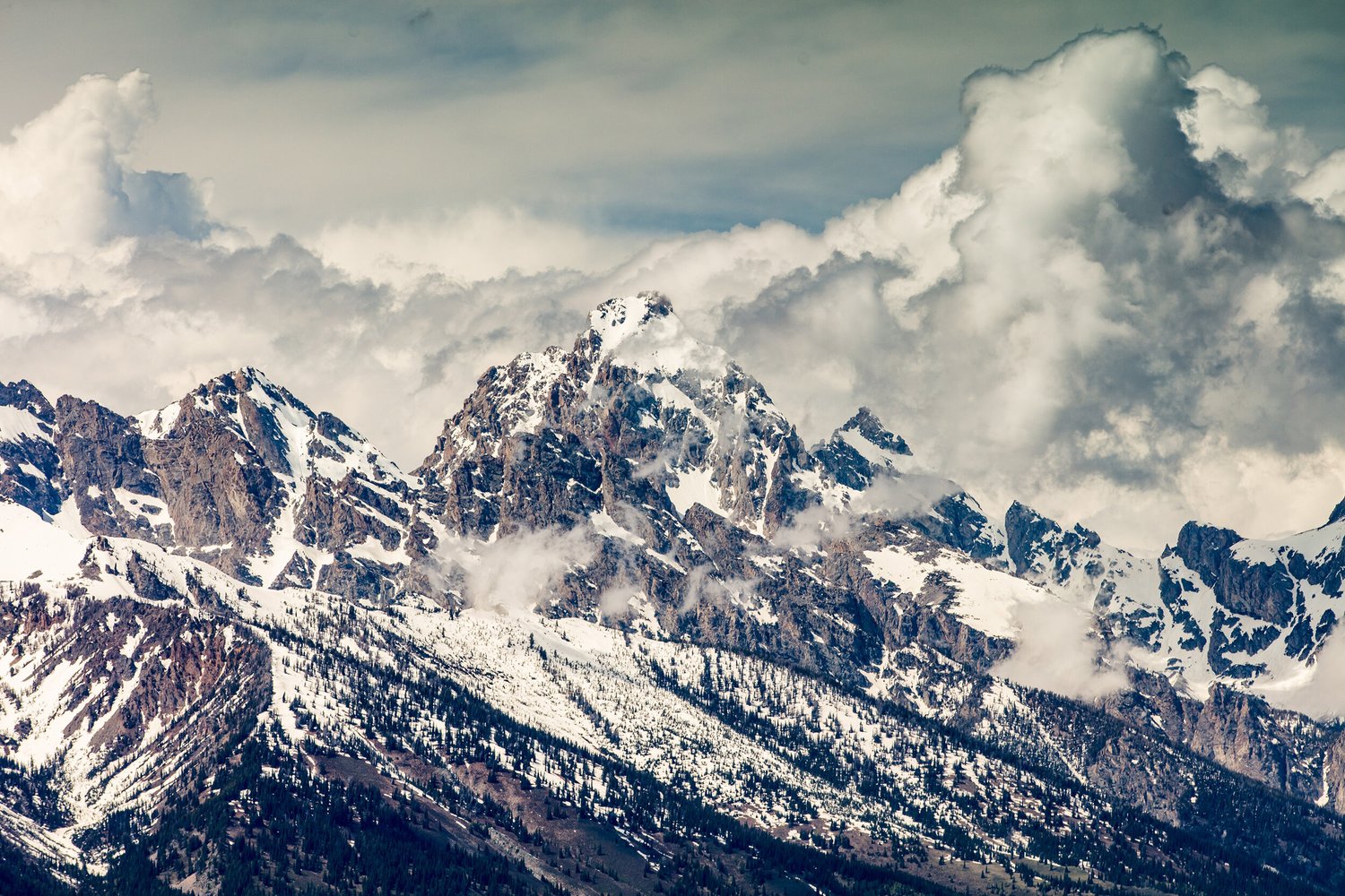 Grand Teton National Park — photo 11