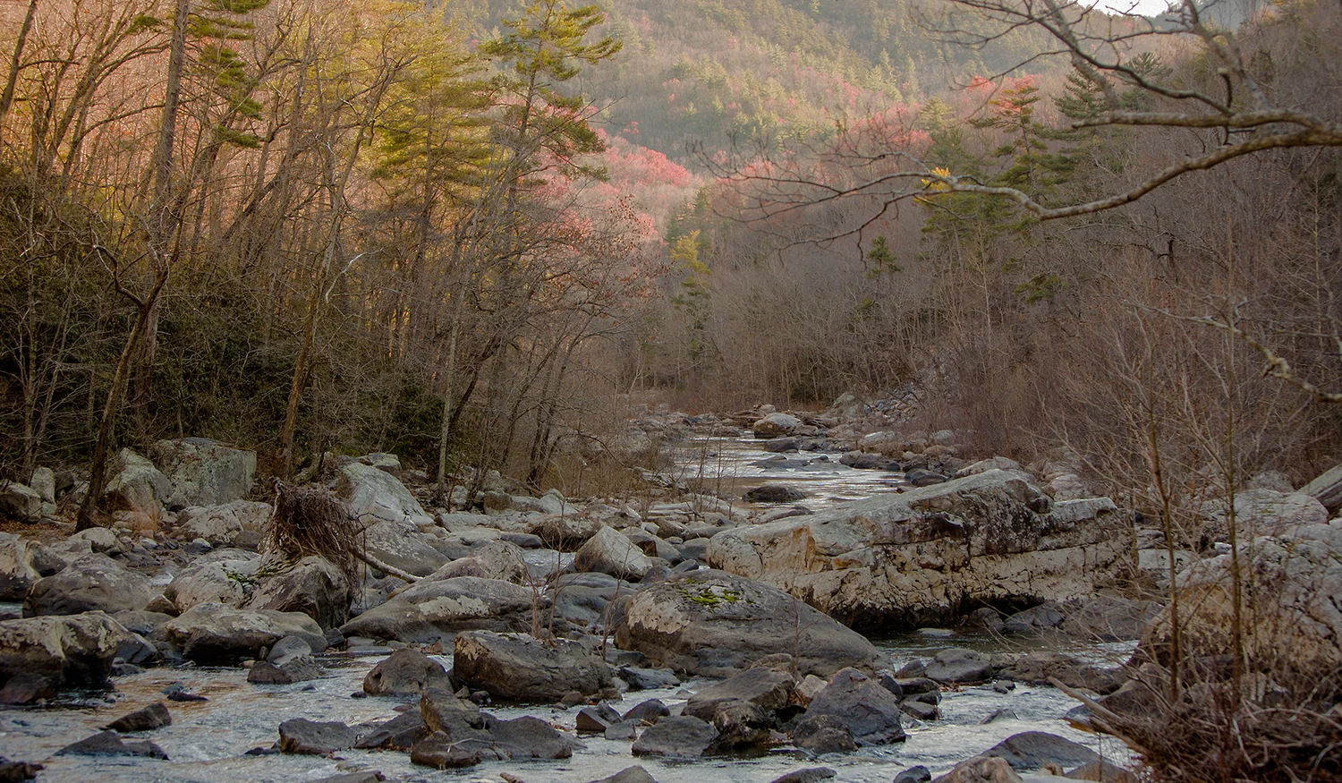 House Mountain Inn — photo 9