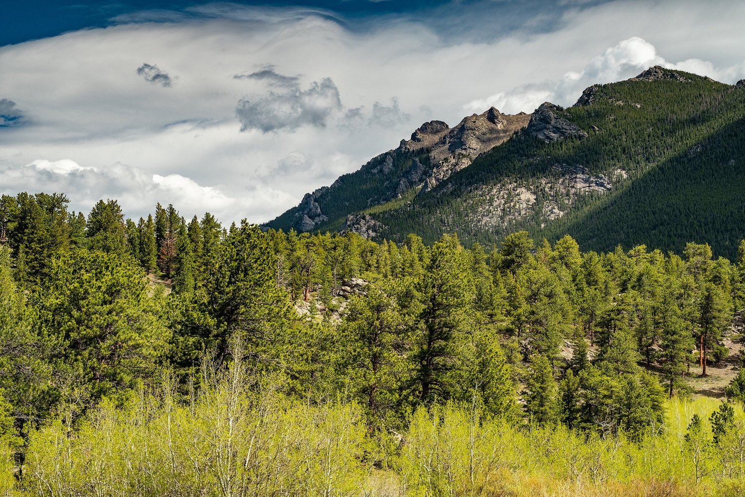Lane Guest Ranch — photo 11