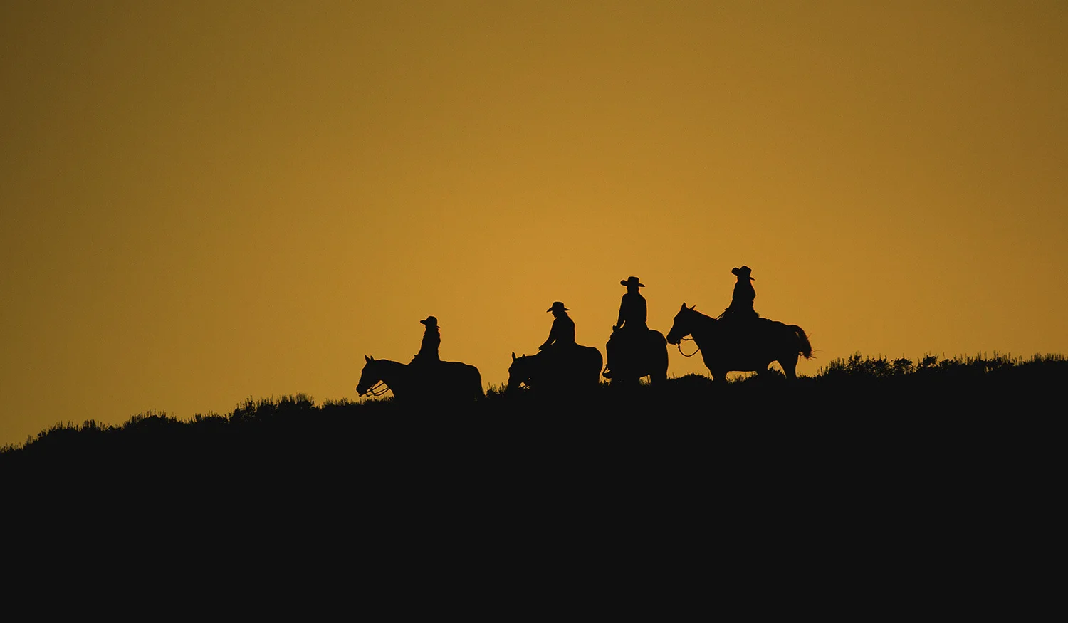 Nine Quarter Circle Ranch — photo 9