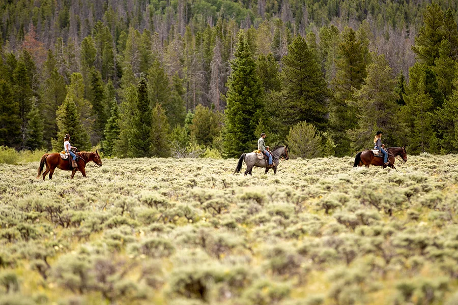 Rawah Wilderness Ranch — photo 11