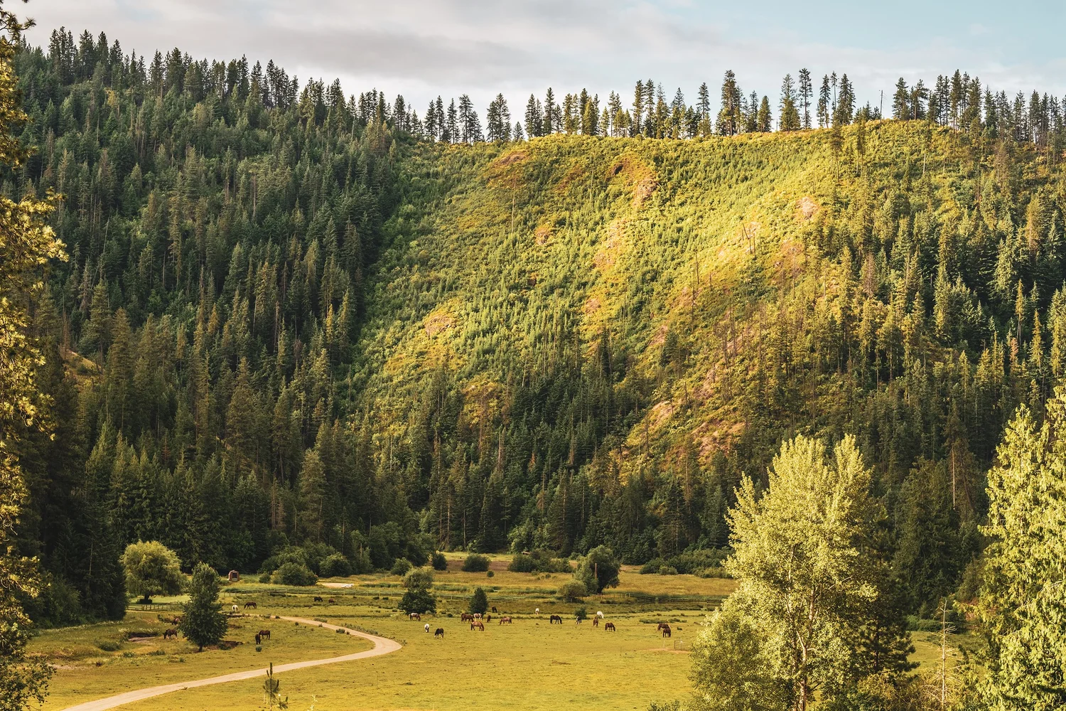 Red Horse Mountain Ranch — photo 9