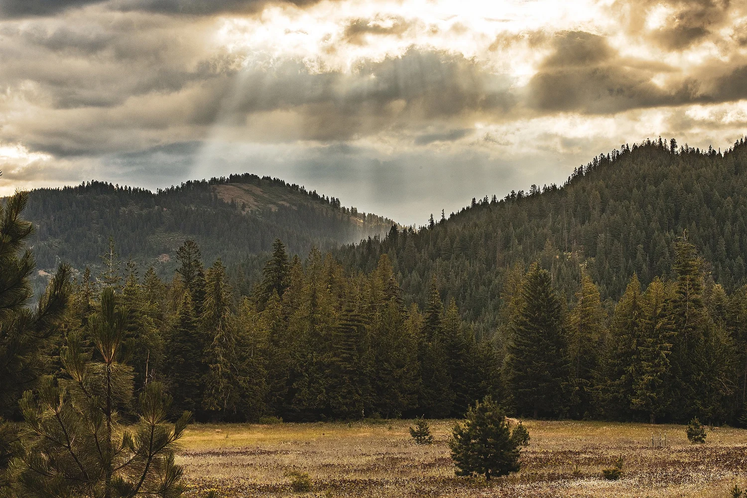 Red Horse Mountain Ranch — photo 11
