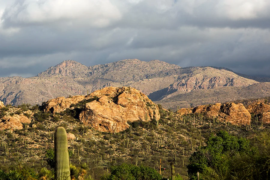 Saguaro National Park — photo 11