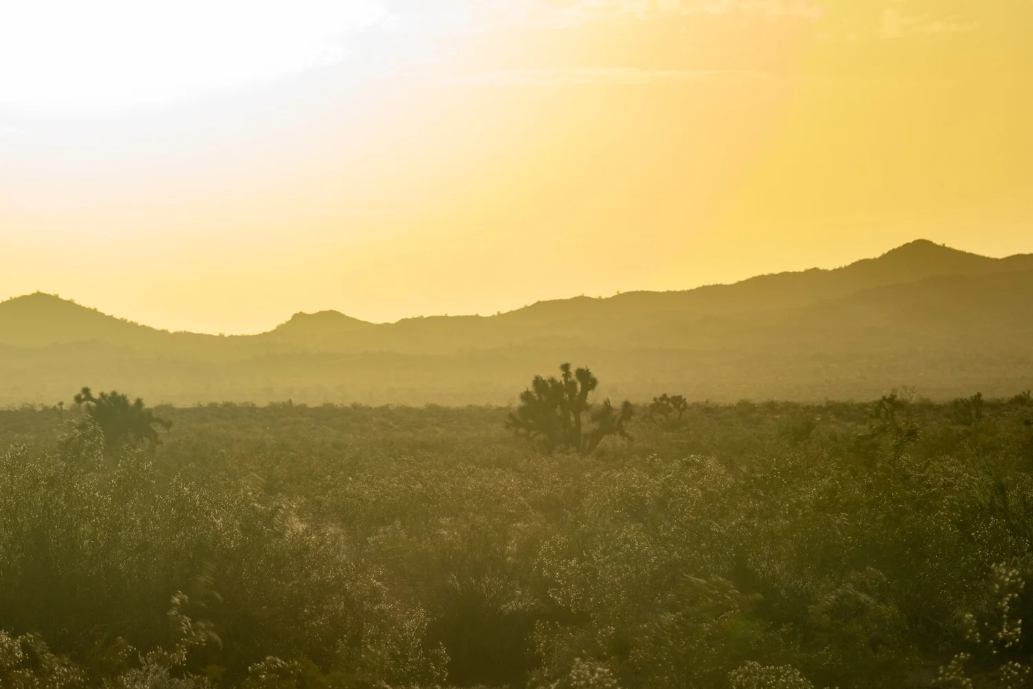 Stagecoach Trails Guest Ranch — photo 11
