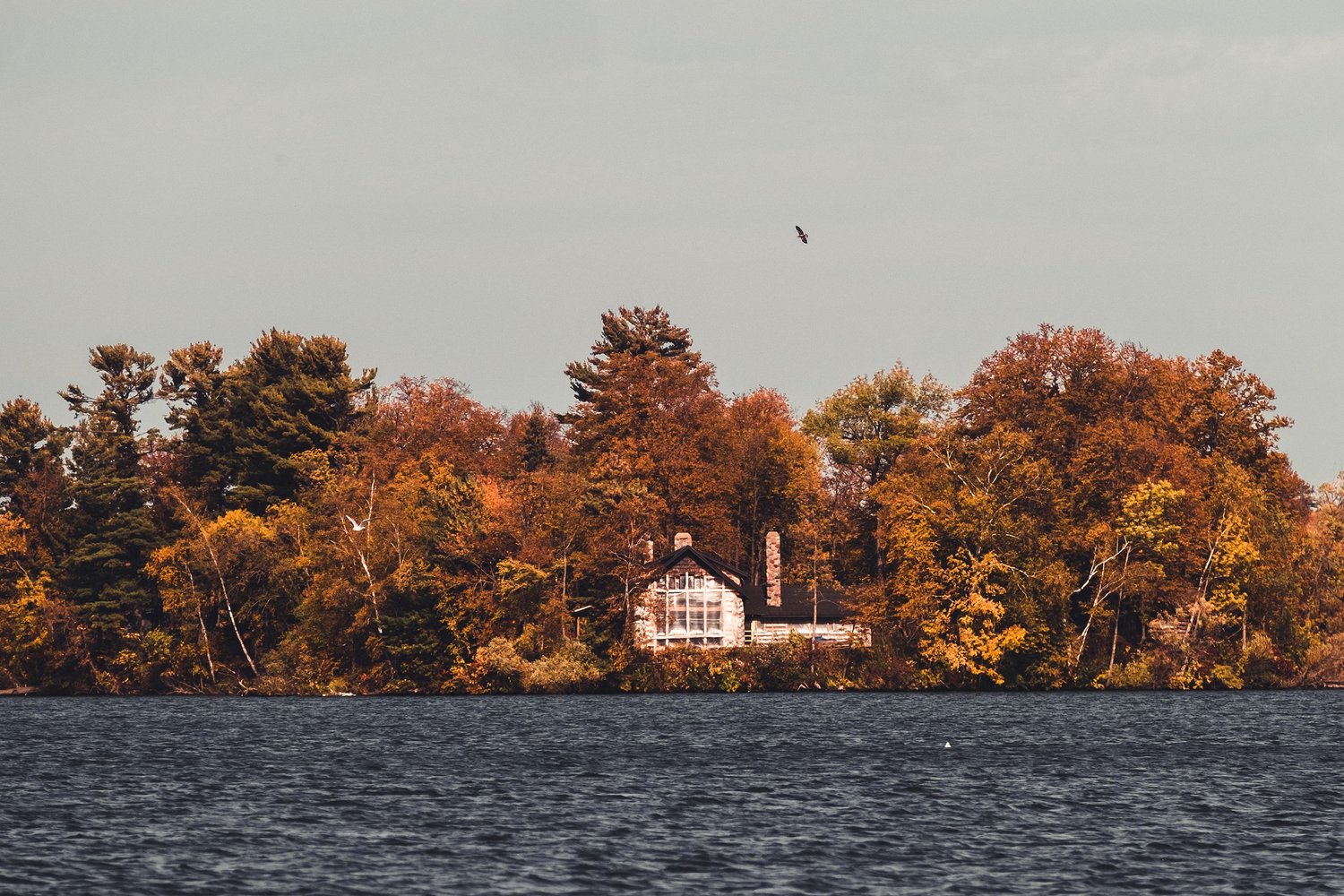 Stout’s Island Lodge — photo 12