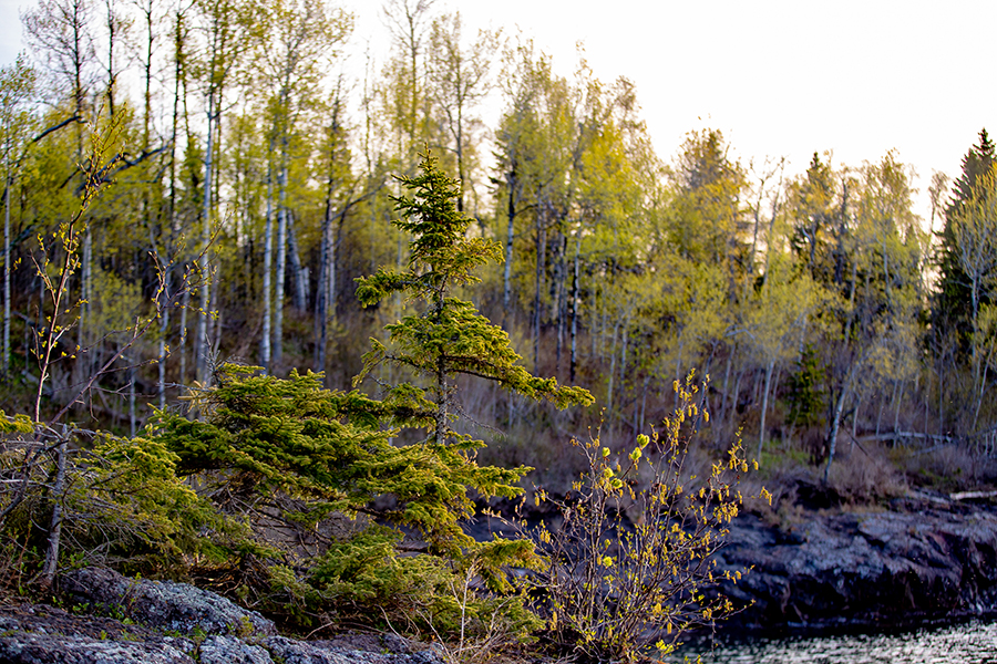 Surfside on Lake Superior — photo 11