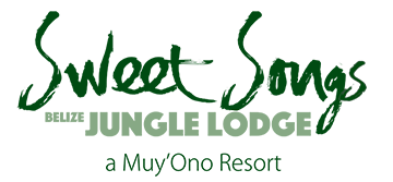 Sweet Songs Jungle Lodge Belize — photo 10