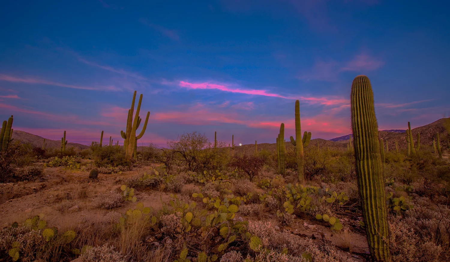 Tanque Verde Ranch — photo 9