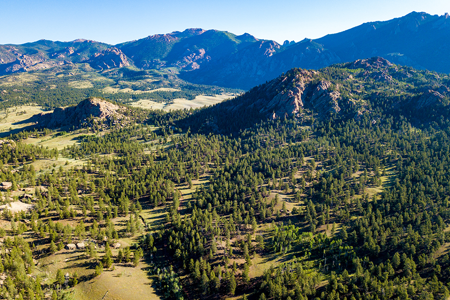 Tarryall River Ranch — photo 11