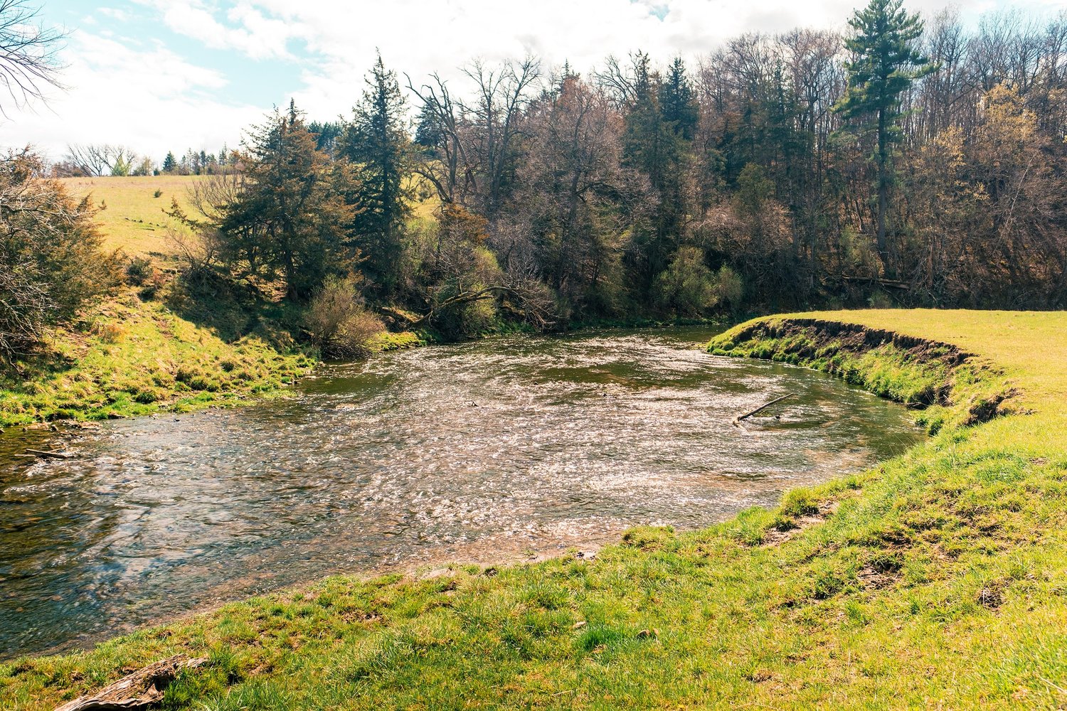 The Driftless Fly Fishing Company — photo 12