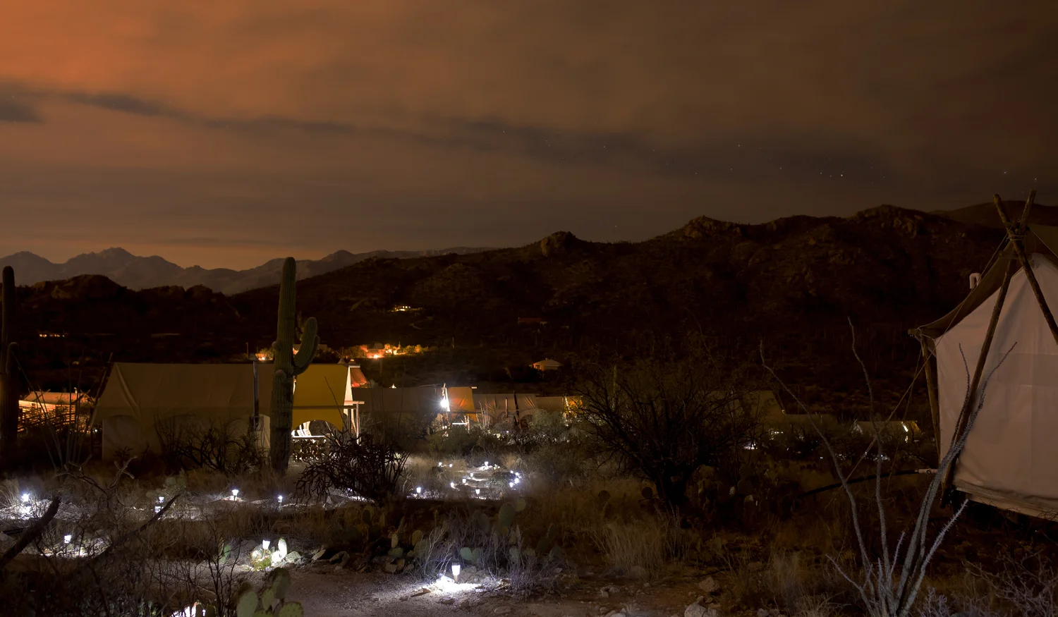 Under Canvas Tucson — photo 9