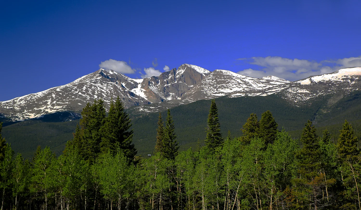 Wind River Ranch — photo 9