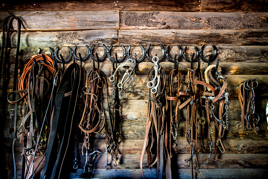 Wind River Ranch — photo 11