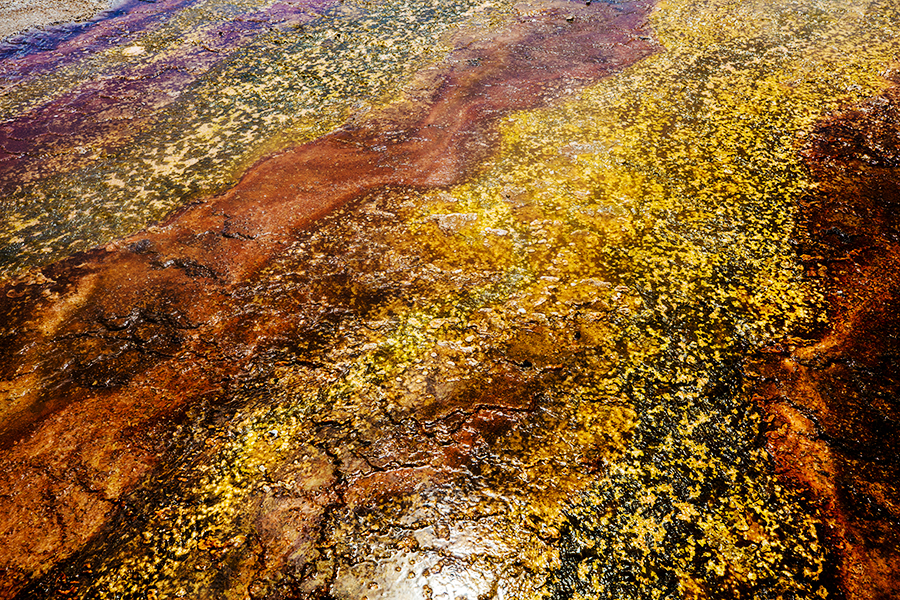 Yellowstone National Park — photo 8