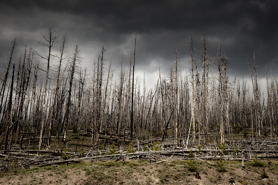Yellowstone National Park — photo 10
