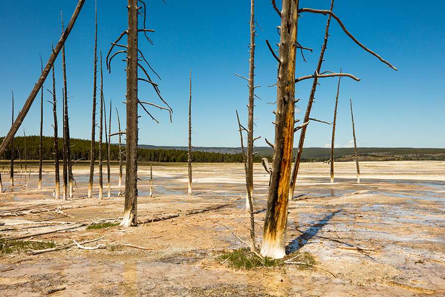 Yellowstone National Park — photo 12