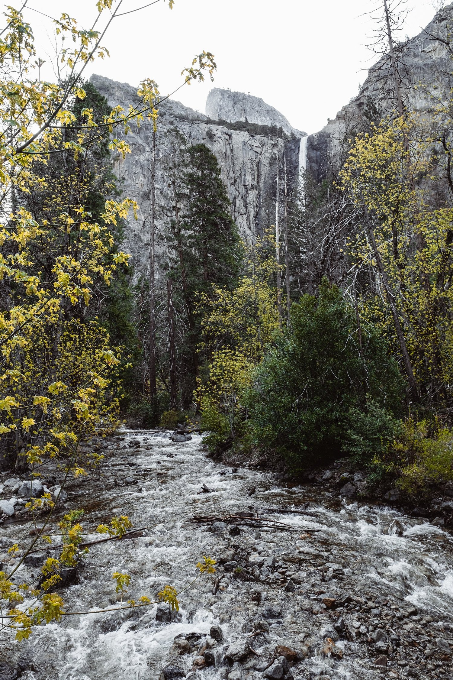 Yosemite National Park — photo 10