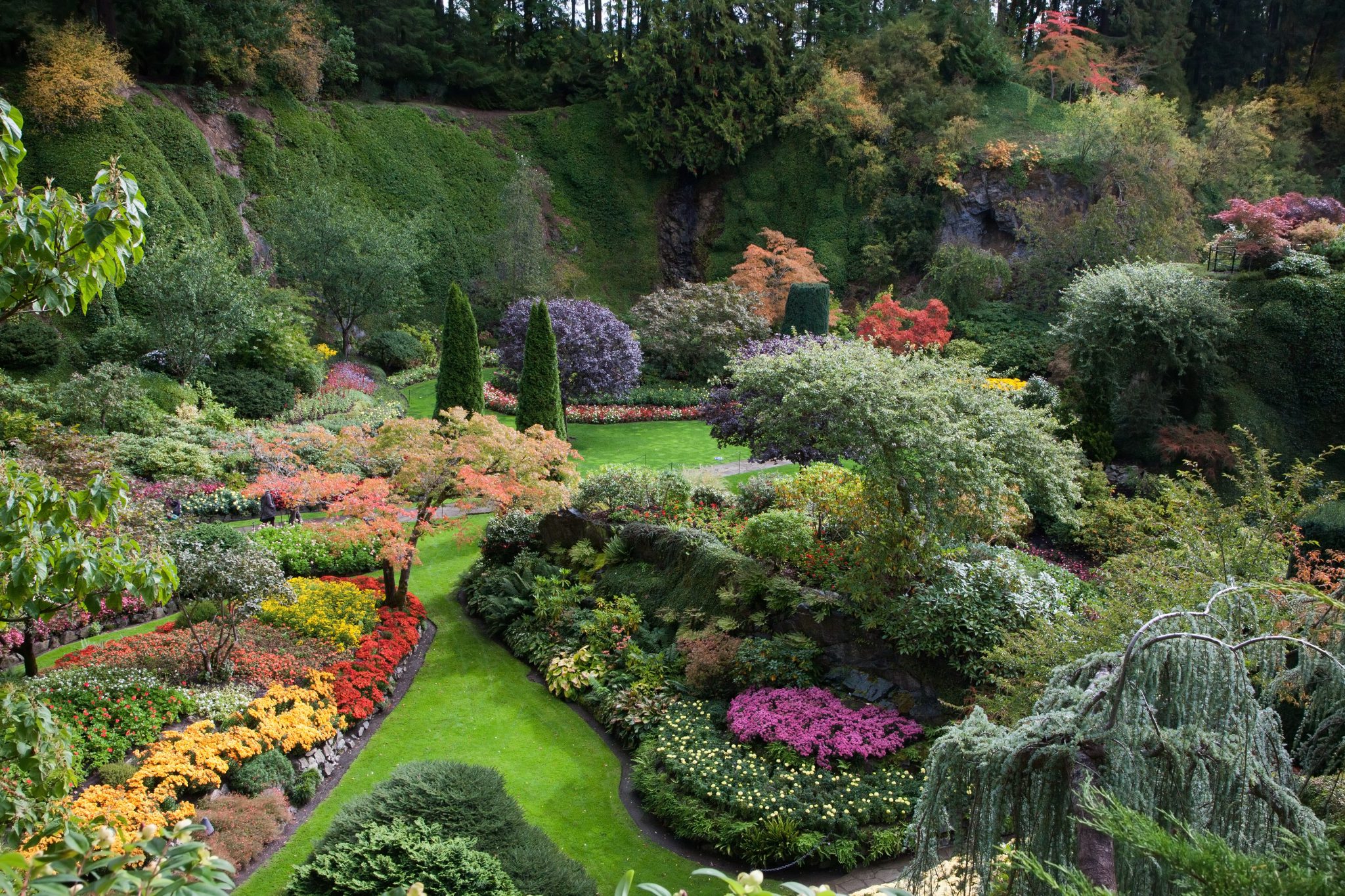 Planting & Gardens