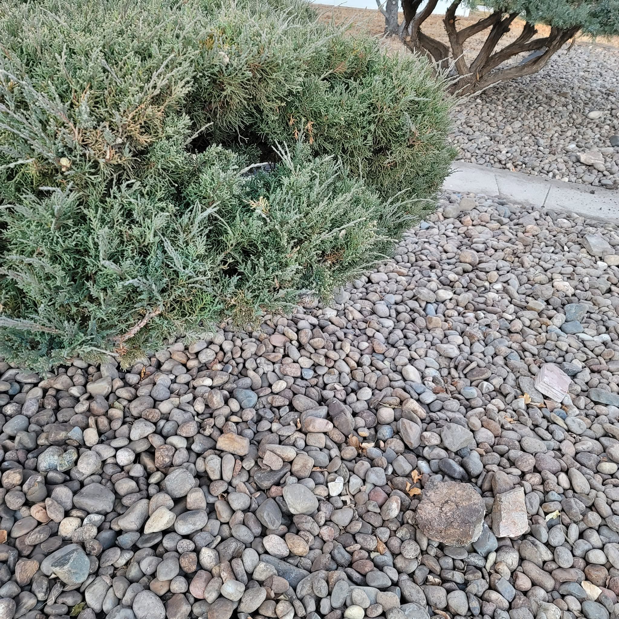 Garden Maintenance