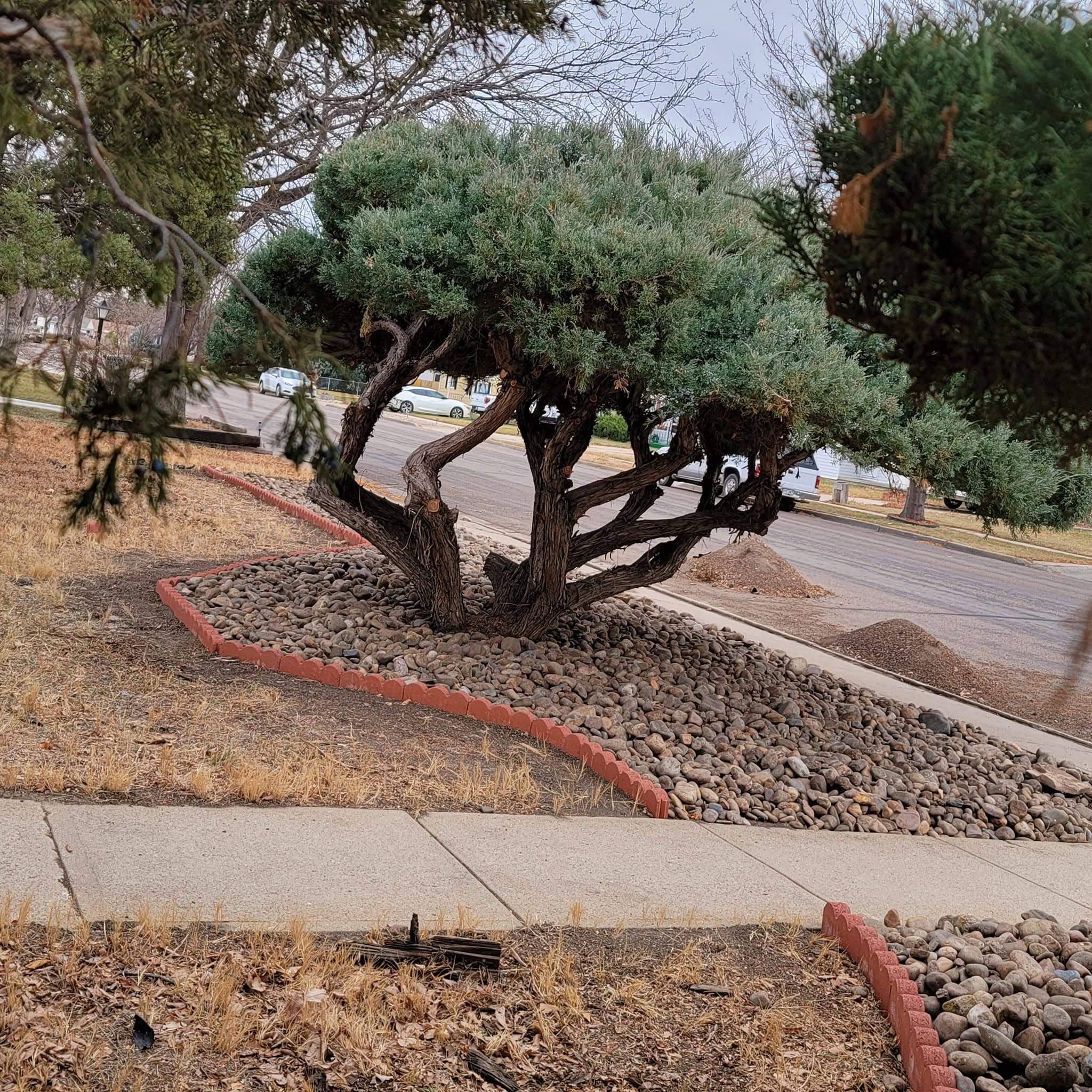 Planting & Borders