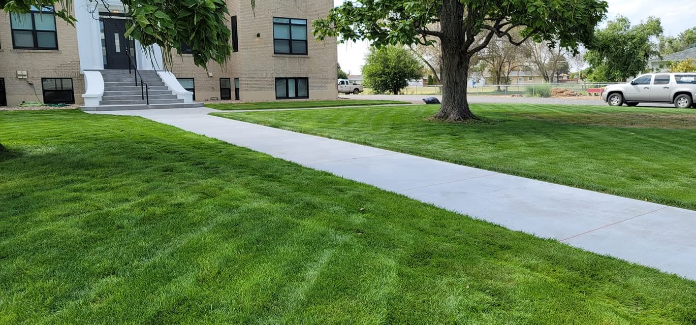 Professionally manicured lawn with striped mowing pattern