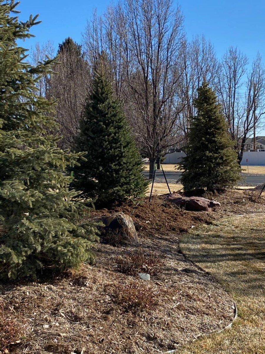 Landscaping project 6