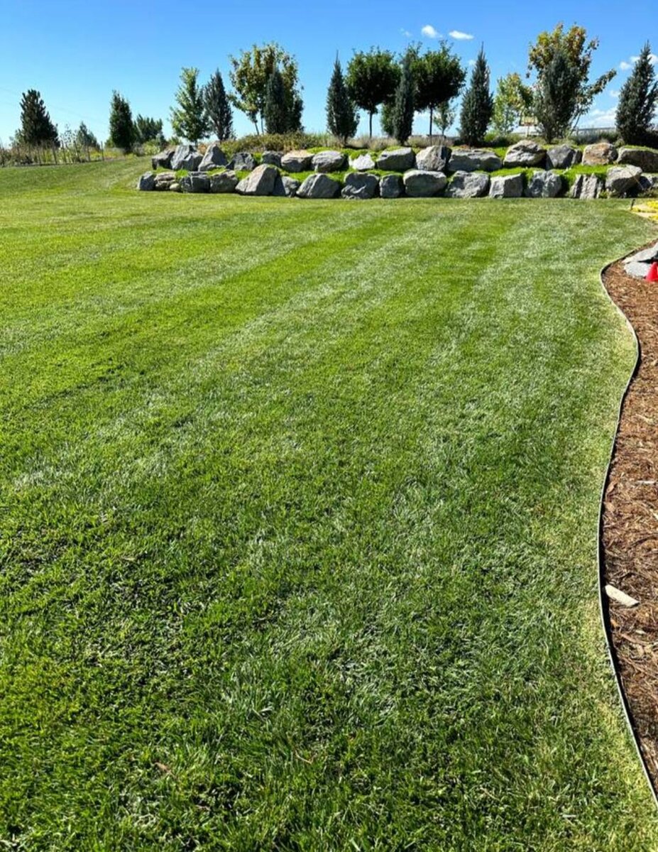 Landscaping project 8