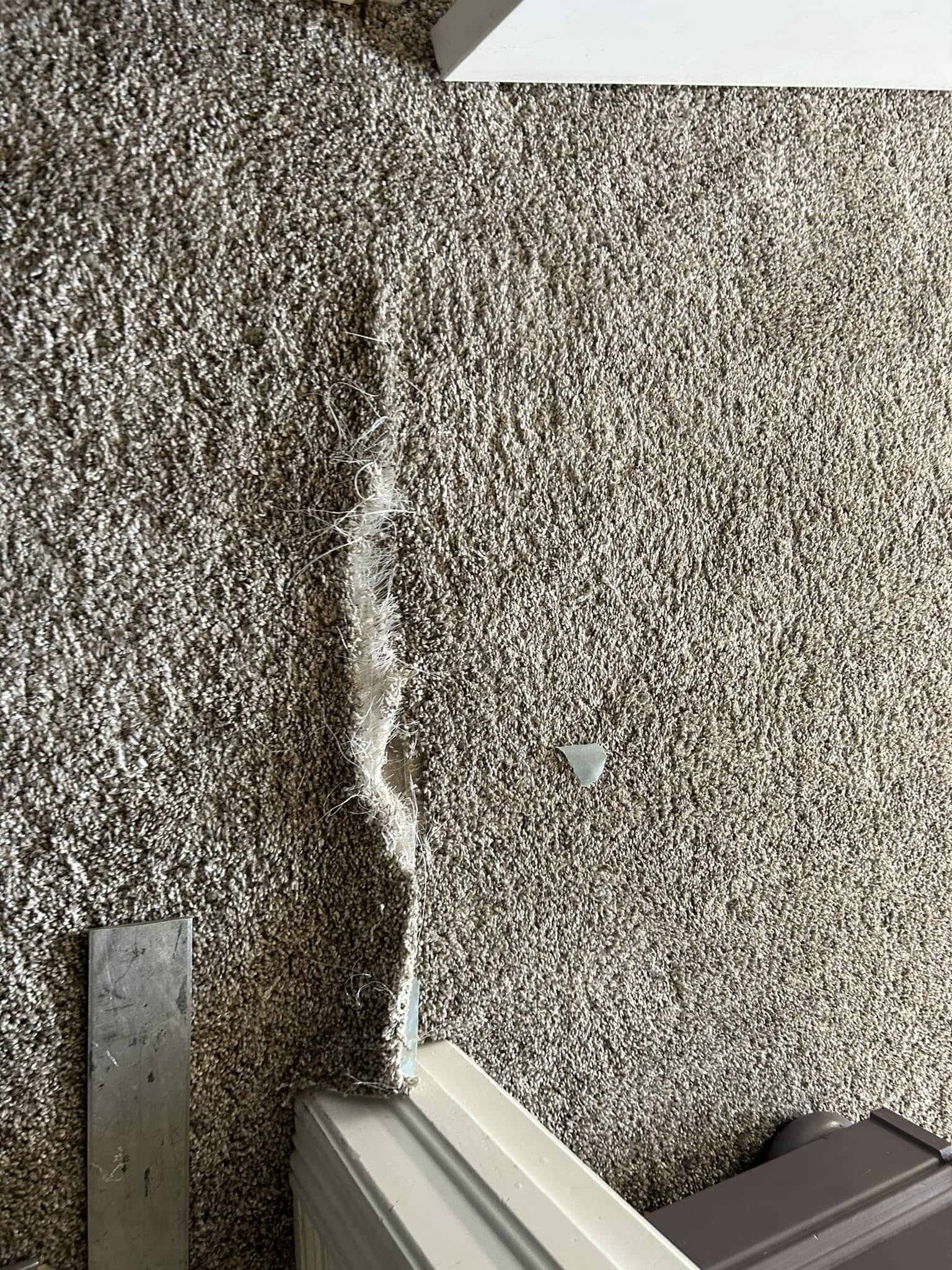 Close-up of carpet seam detail between two adjoining sections